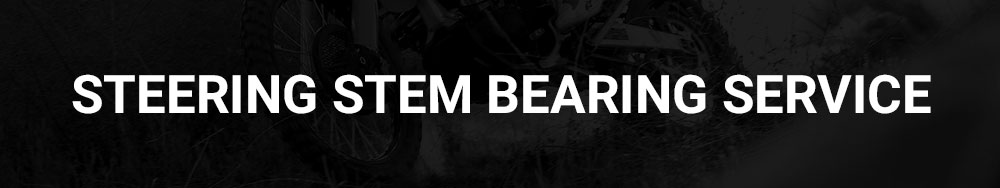 Steering Stem Bearing Service