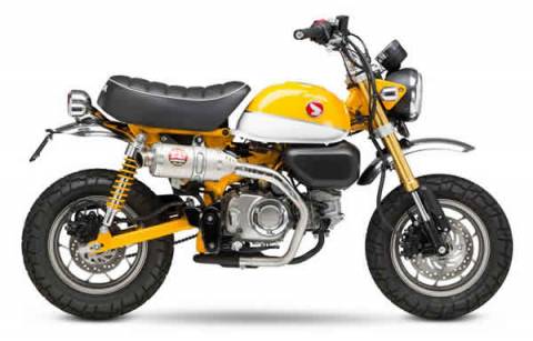 Monkey'19-23 - Yoshimura Street RS-3 Slip-On