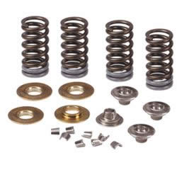 CRF250R'10-17 - Pro Circuit Valve Springs