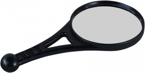 Dual Sport Mirror