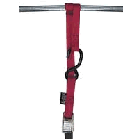 Powertye Tiedown